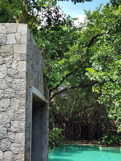 The Villa in the Grove is rooted to its site, with bedrooms like lanterns suspended in the tree canopies. A rugged stone wall creates a natural backdrop for the outdoor living experience by the pool.