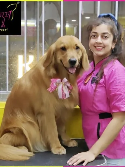 Simply cute. This Golden Retriever is posing perfectly after her spa day, showing off her clean coat and a pretty pink bow.
