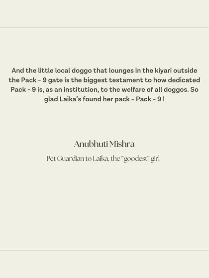 "The little local doggo that lounges in the kyari outside the Pack-9 gate is the biggest testament to how dedicated Pack-9 is." This observation means so much to us. Our love for dogs extends to our entire community.