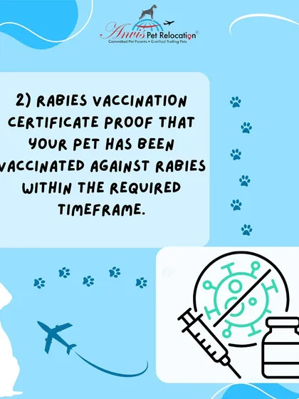 A rabies vaccination certificate is another crucial document. This serves as proof that your pet has been vaccinated against rabies within the required timeframe, a key step for entry into most countries.
