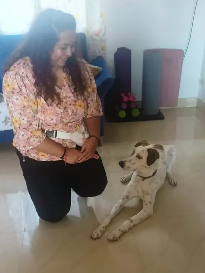 So proud of Frankie for completing his puppy basics program! His parents were incredibly diligent with their homework, which is the secret to success. We worked together as a team to help him become a well-behaved boy.