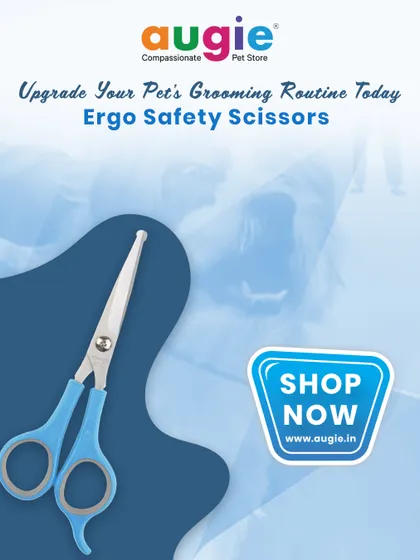 Upgrade your pet's grooming routine today with the Ergo Safety Scissors. They make at-home grooming safer and easier, giving you confidence with every trim.