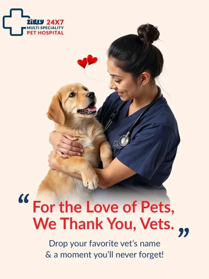 We want to hear about the vet who made a difference in your pet's life. This post invites our community to share their favorite vet memory and give a shout-out to the heroes who care for their fur babies.