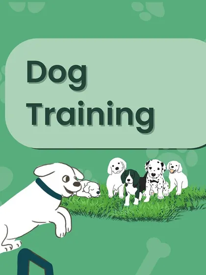 This graphic represents our core service: Dog Training. We offer everything from puppy obedience classes to advanced skill training for dogs of all ages and breeds.