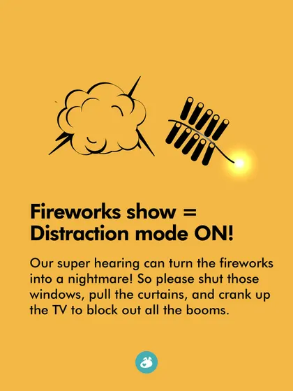 A fireworks show is a nightmare for our super hearing. Please shut the windows, pull the curtains, and turn up the TV to block out the booms.