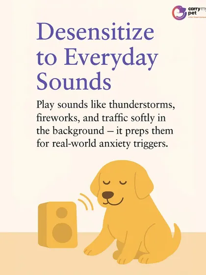 Desensitize your pet to everyday sounds by playing recordings of thunderstorms or traffic softly in the background. This prepares them for real-world anxiety triggers.