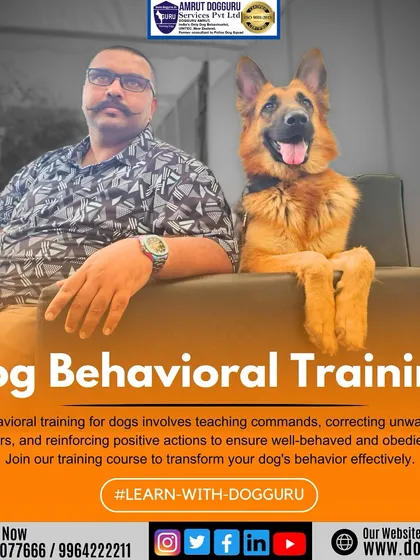 This is what dog behavioral training is all about: teaching commands, correcting unwanted behaviors, and reinforcing positive actions to help you and your dog live together harmoniously.