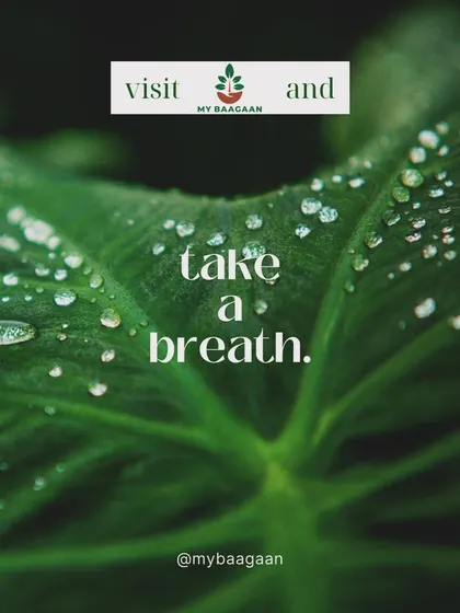 A simple reminder to visit us and take a breath. In our busy lives, sometimes all we need is a moment of peace surrounded by nature.