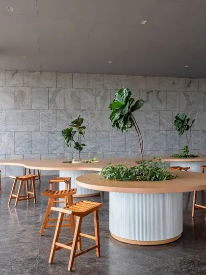 An outdoor covered cafeteria at the Pinnacle Campus, featuring organically shaped wooden tables with integrated planters. This space blurs the boundary between inside and outside, allowing employees to dine and collaborate in a natural setting.