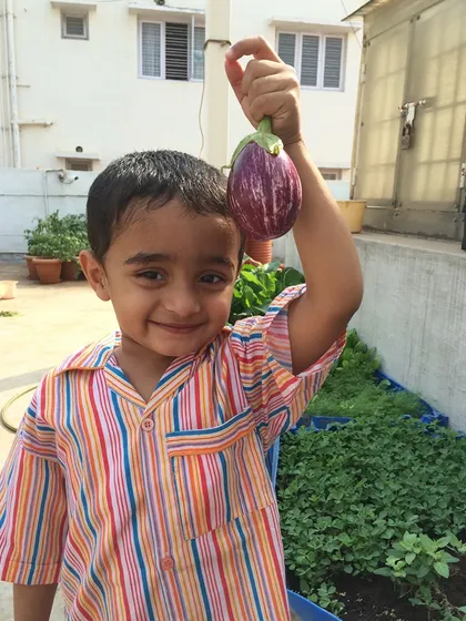 The true joy of gardening is sharing its rewards with your family. We love seeing our youngest gardeners proudly showing off their first harvest, like this beautiful, organically grown brinjal from their own terrace garden.