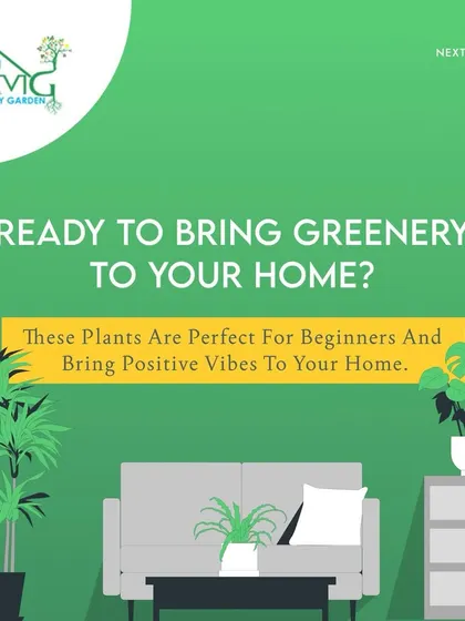 Ready to bring some greenery home? This graphic highlights some of our favorite beginner-friendly plants that are perfect for adding positive vibes and fresh air to your living space.