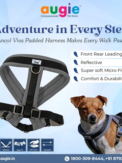 The Ancol Viva Padded Harness makes every walk pawsome. It features front and rear leading options, reflective material, and super-soft micro-fleece for the perfect blend of comfort and durability.