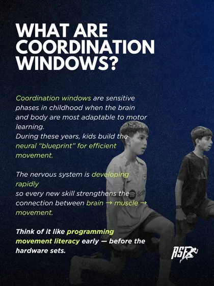 What are coordination windows? This graphic defines them as sensitive phases for motor learning. We explain how the nervous system develops a "blueprint" for efficient movement, likening it to programming software before the hardware sets.