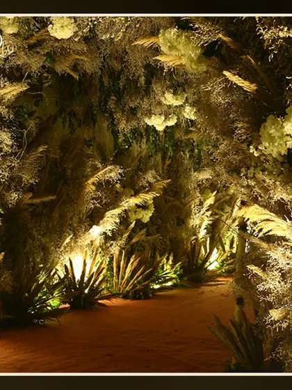 Another view of the pampas grass walkway, showing the dense, textured foliage that creates an immersive, forest-like feel.