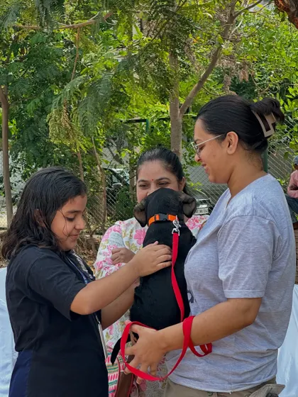 A young girl and her family meet a sweet black puppy at our adoption drive. It's wonderful to see children learning to be gentle and compassionate with animals from a young age.