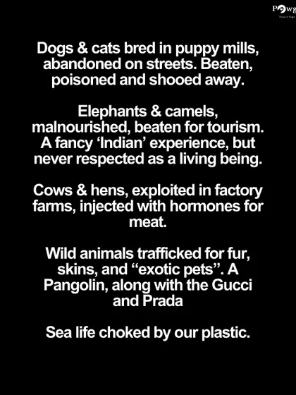 We list the many forms of animal cruelty that persist in our country, from puppy mills and factory farms to the exploitation of animals for tourism and trafficking for skins.