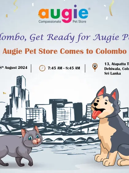 Colombo, get ready for Augie Pets! We are so excited to announce the grand opening of our newest store in Colombo, Sri Lanka. Join us to discover a world of compassionate pet care.
