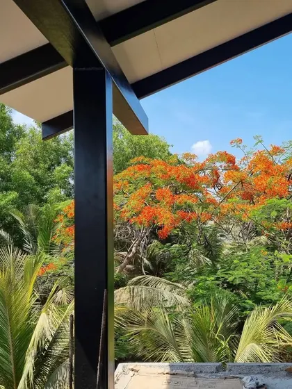A view from within the Grove House construction site, looking out at the vibrant Gulmohar trees. We always design to frame and celebrate the natural beauty of the surroundings.