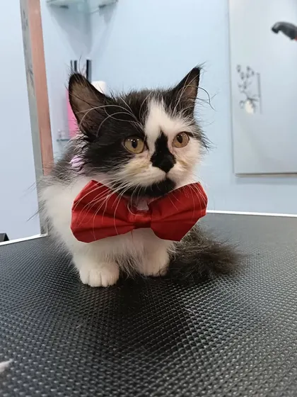 Boy looking curious and cute after his spa day.
