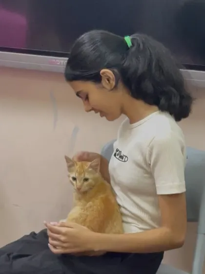 A quiet moment between a young girl and a calm ginger kitten. These gentle interactions are what build lifelong bonds.