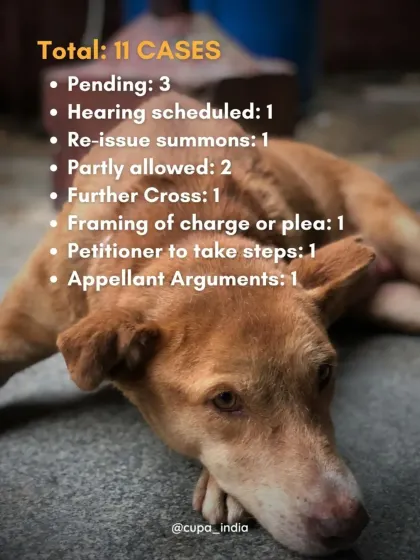 A status update on the 11 active cases I handled in April, showing the various stages of the legal process from summons to framing of charges and arguments.