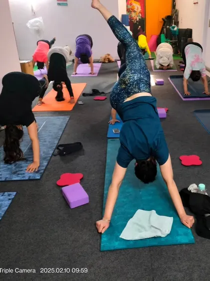 Here, students are practicing a variation of Adho Mukha Svanasana, or Downward-Facing Dog, using blocks for support. This is a great way for beginners to build strength for inversions.