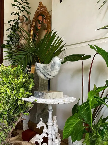 Plants can be the perfect backdrop for your favorite decor pieces. Here, a variety of indoor plants, including a palm and a variegated shrub, create a lush setting for a beautiful marble bird sculpture.