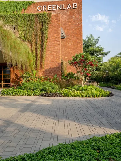 The morning light at the Greenlab campus highlights the textures of the stone paving and the variety of plants at the entrance. The design provides a beautiful and calm arrival experience for employees and visitors.
