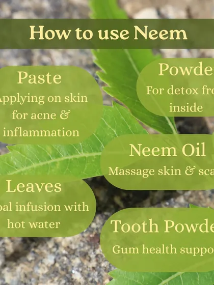 Captions for these will be educational, explaining the Ayurvedic properties and uses of plants like Neem (Nimbi) and Amla (Amalaki), or detailing aspects of the Ayurveda retreats and courses as shown in the images.