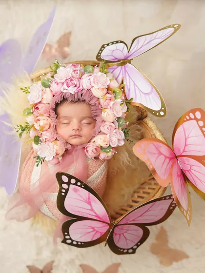 An overhead view of the butterfly theme, creating a magical scene of a newborn nestled amongst flowers and butterflies.