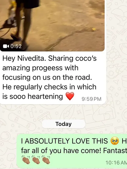 A proud update from a Beagle owner. After working on our online program, Coco is now checking in with his humans on walks instead of having his nose glued to the ground.