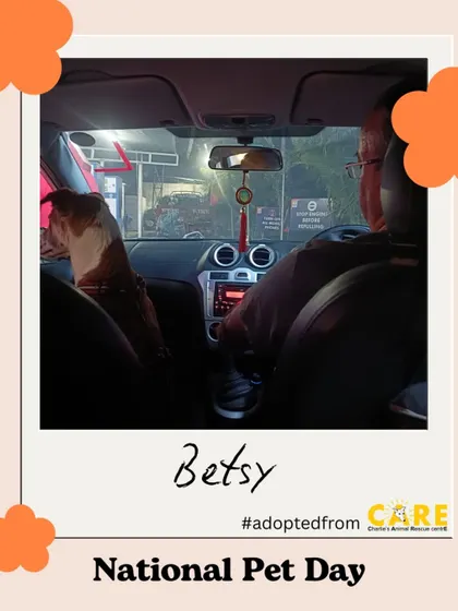 Betsy on her freedom ride home. That first car ride to a new life is a moment filled with hope and excitement.