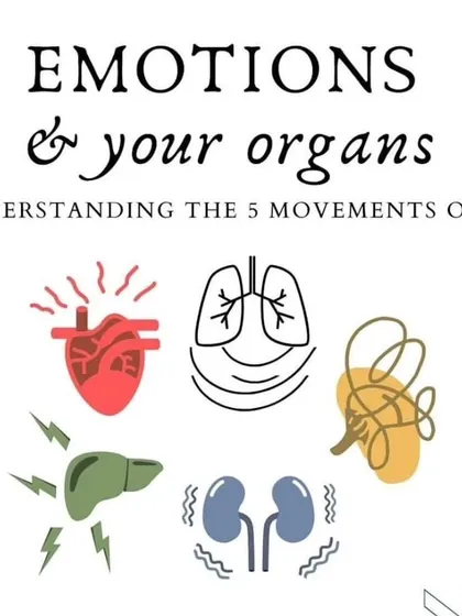 A visual guide to understanding the five movements of Qi and how emotions are connected to our organs. This knowledge is fundamental to holistic healing and maintaining energetic balance.