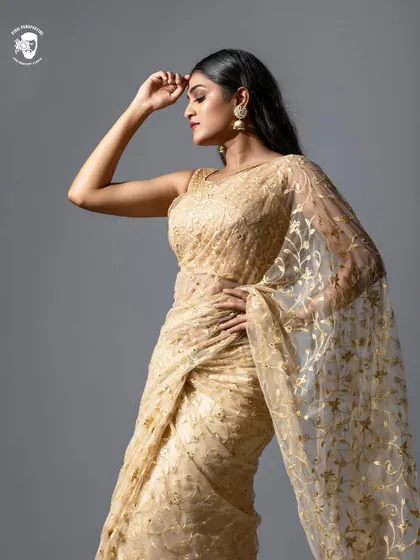 A high-fashion pose in the gold net saree against a simple grey backdrop.