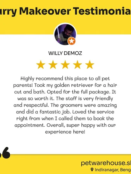 Willy Demoz highly recommends our Indiranagar location for a full package hair cut and bath. We're thrilled he was super happy with the fantastic job our groomers did for his Golden Retriever.
