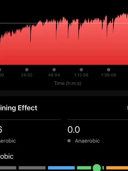 A look at the heart rate data and training effect from a long run. We analyze this to ensure our athletes are training in the right aerobic zones to build endurance efficiently.