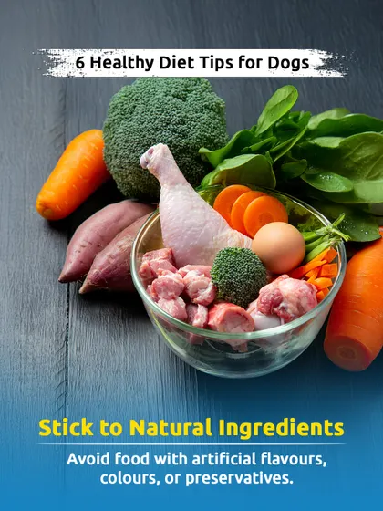 A healthy diet is the foundation of a long life. This guide covers 6 essential tips, starting with the most important: stick to natural ingredients and avoid artificial flavors, colors, or preservatives.