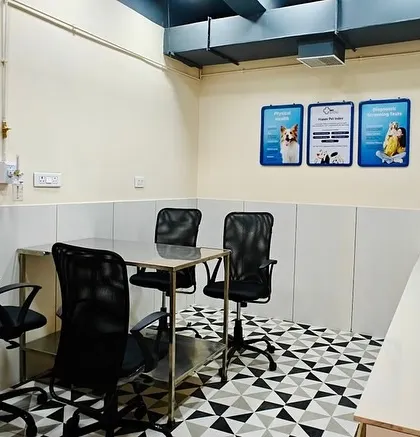 This is our clean and organized vet consultation room in Jalandhar. We maintain the highest standards of hygiene to ensure a safe environment for every pet's check-up and treatment.
