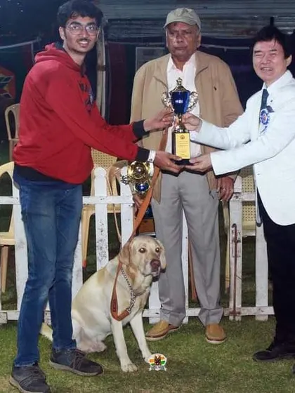 A proud moment for a young handler and his Labrador at the awards ceremony.