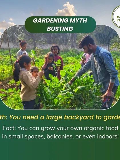 Myth-busting gardening! You don't need a large backyard to grow your own food. We show you how to create a productive organic garden on a balcony, a terrace, or even indoors.