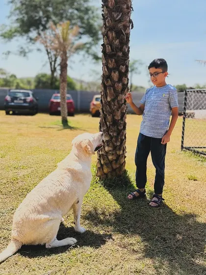 A young boy sharing a special moment with his Labrador. We love seeing kids and dogs bond at our camp.