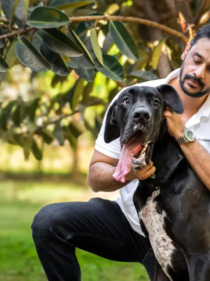 A close-up showing the gentle way this owner holds his Great Dane, a testament to the trust and bond between them.