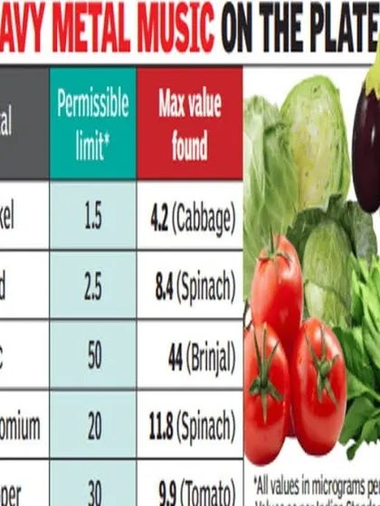 This is a duplicate of image 42. This table shows the alarming levels of heavy metals like lead and nickel found in common vegetables. By growing your own, you take control of what goes on your plate, ensuring your food is safe and chemical-free.