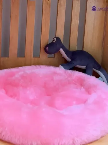 Every pet deserves a cozy place to rest. This plush, pink donut bed is one of the many comfortable options we provide in our luxury pet hotel and retail store, ensuring your pet feels safe and pampered.