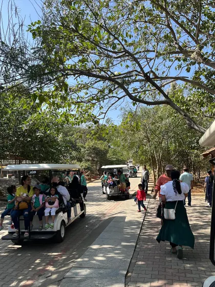 Our field trips are adventures that bring learning to life. Whether it's a day at the zoo, a visit to a fire station, or a fun outing to a water park, these experiences expand our children's horizons and create lasting memories with their friends.