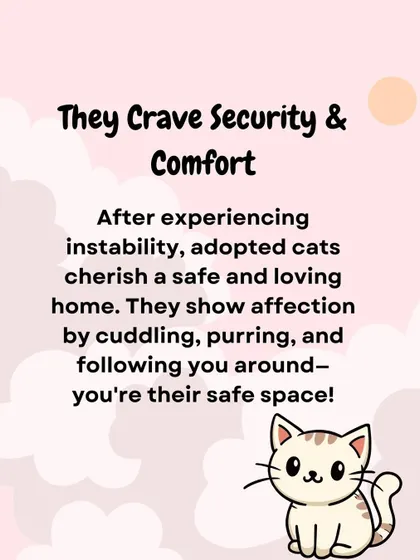 This graphic highlights how adopted cats crave the security and comfort of a loving home. They show their affection by purring and cuddling once they feel safe.