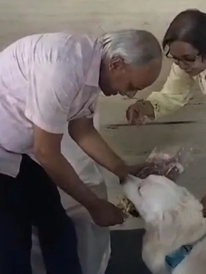 I was honored to speak at a Rotary Bangalore event about how dogs can be a part of therapy and mental health initiatives. My dog Coco was a perfect gentleman, charming the crowd and demonstrating the calm temperament of a great therapy dog.