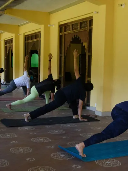 A dynamic moment from our vinyasa flow class, with everyone moving through a revolved side angle pose. The energy of practicing together in a group is truly powerful.