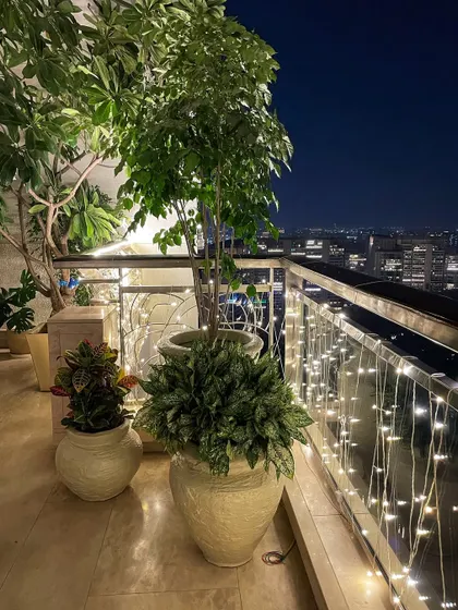 A festive evening glow on this beautifully styled Gurgaon balcony. The combination of a tall Ficus tree, a leafy Aglaonema, and a colorful Croton in our custom textured pots creates a magical atmosphere, especially with the fairy lights.