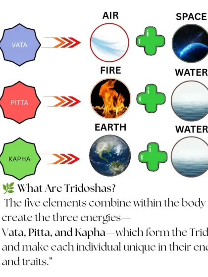 These five elements combine to create three energies, or Doshas: Vata, Pitta, and Kapha. Understanding your unique dosha is the key to personalized wellness.